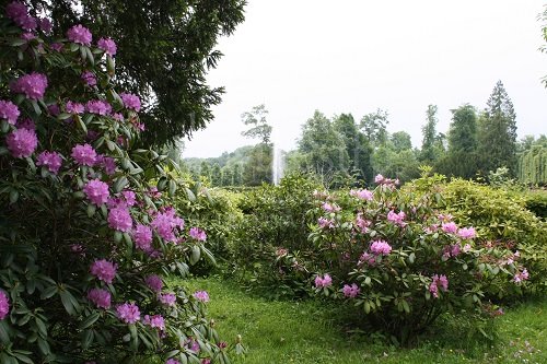 Rambouillet (3)