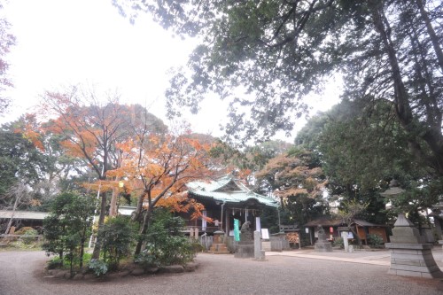 japan6