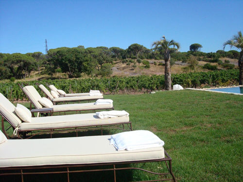 garden1