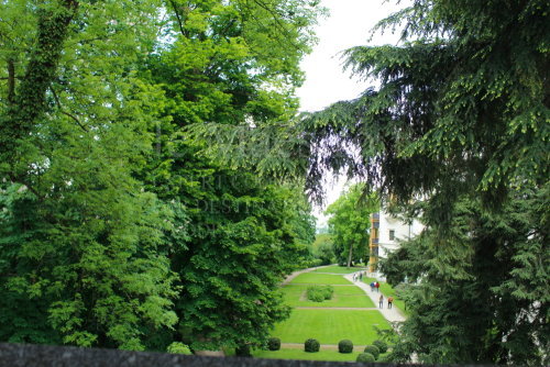 2013 May Czech 0044