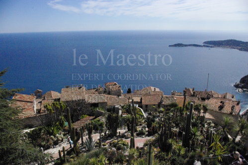 Eze1