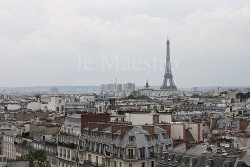 paris terrace (1)