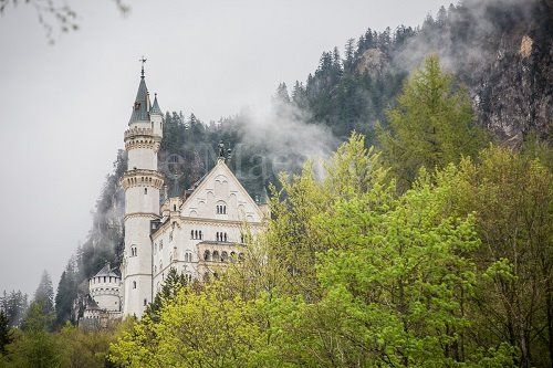 Wedding Photo_Schloss Neuschwanstein5