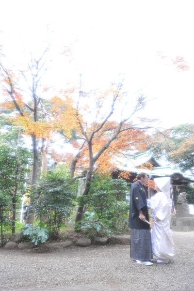shinto4