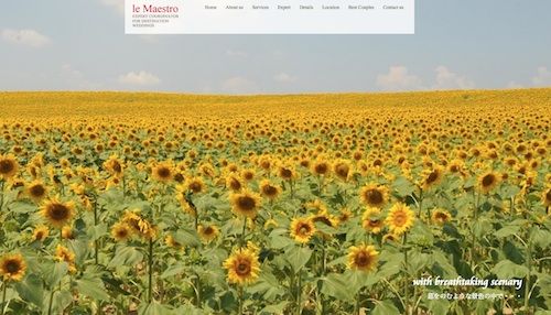 newweb7
