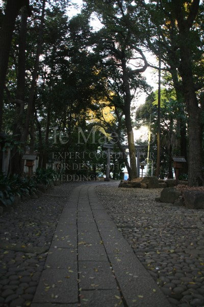 ourwedding9