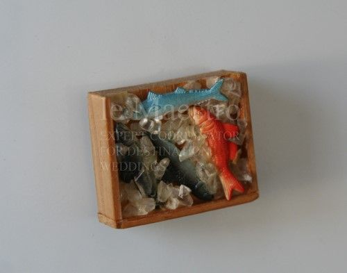 sakana