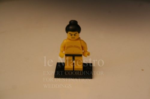 playmobile3