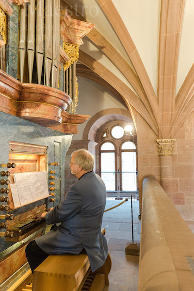 Heidelberg7