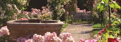 photo7