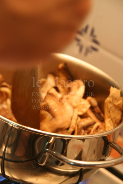funghi1