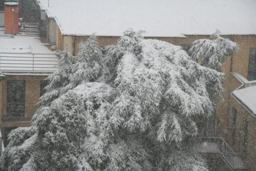 firenzesnow3