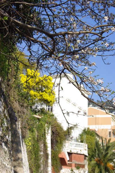 villefranche0402
