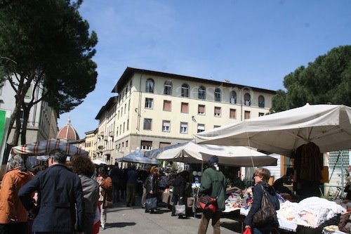 IMG_6564