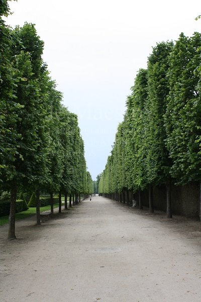 Rambouillet (2)