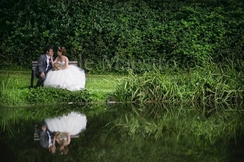 Wedd_1192