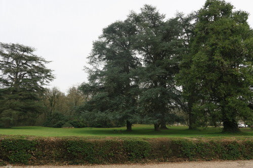 photo2