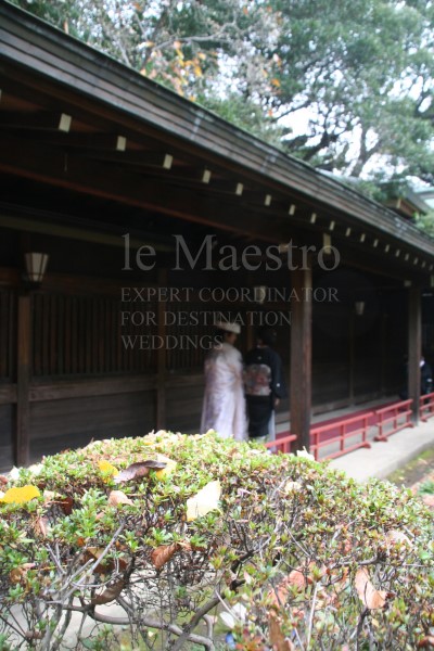 shinto3