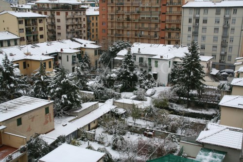 snow