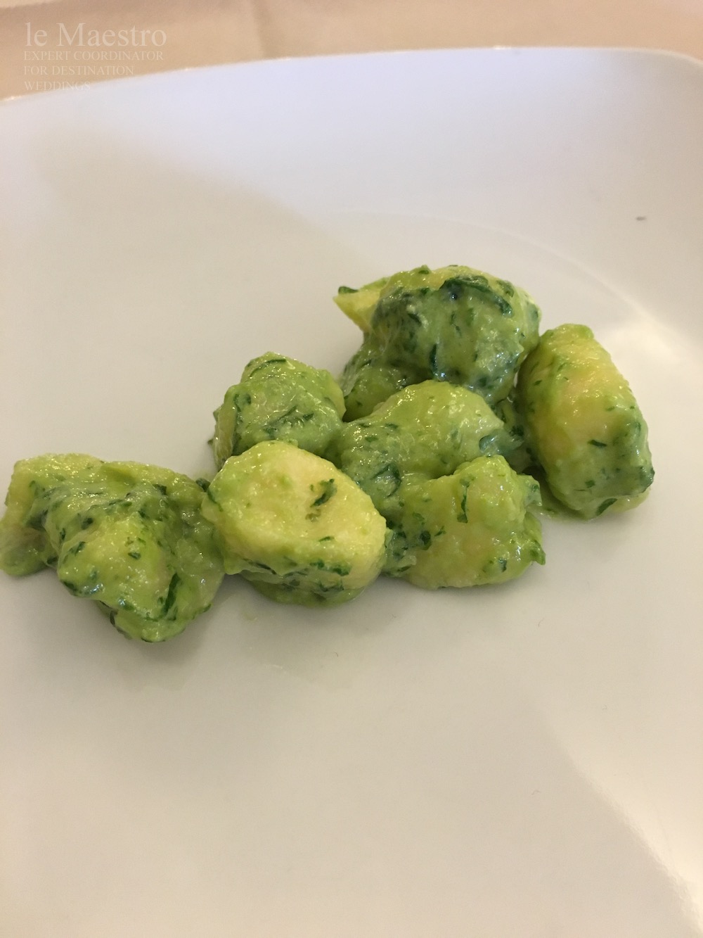 leMaestroが教えるイタリアンリビエラリーグリア地方の食の魅力