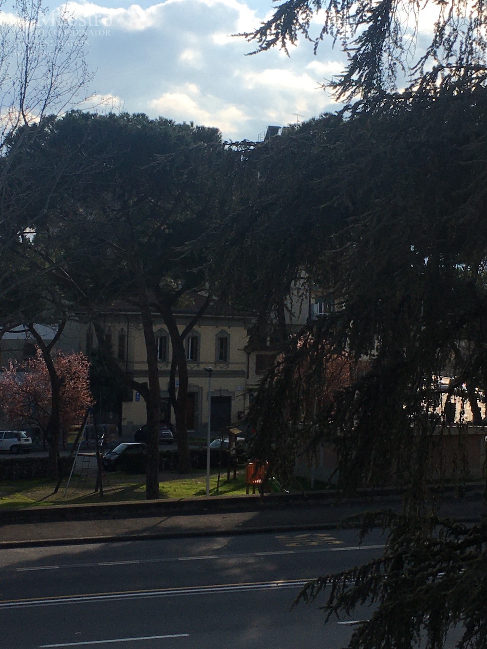 leMaestroコロナウイルス自主検疫イタリアの生活